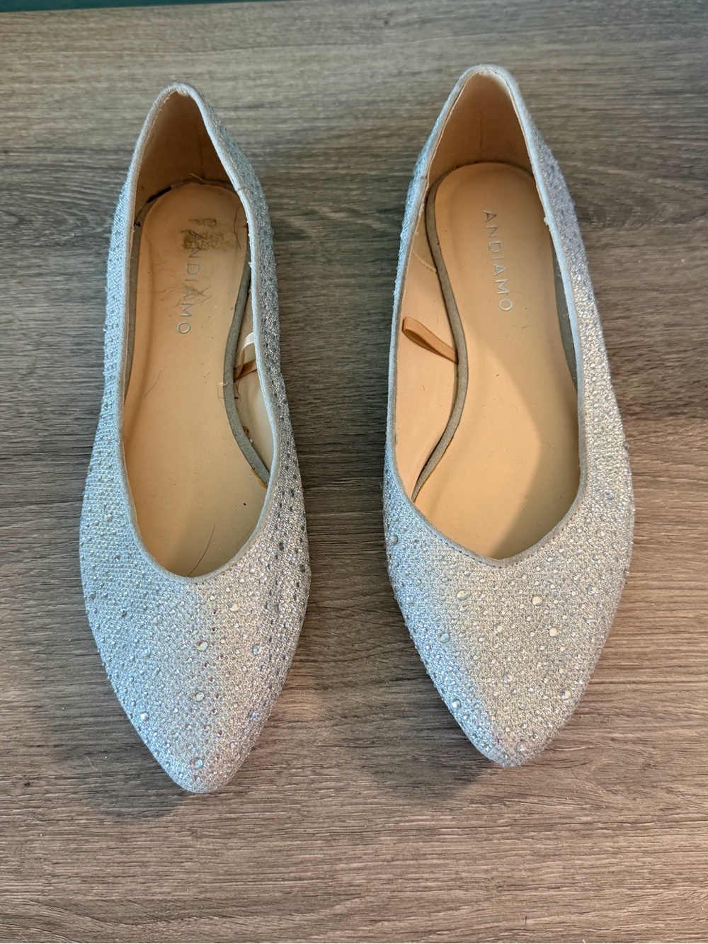Andiamo Women's Silver Embellished Pointed-Toe Flats